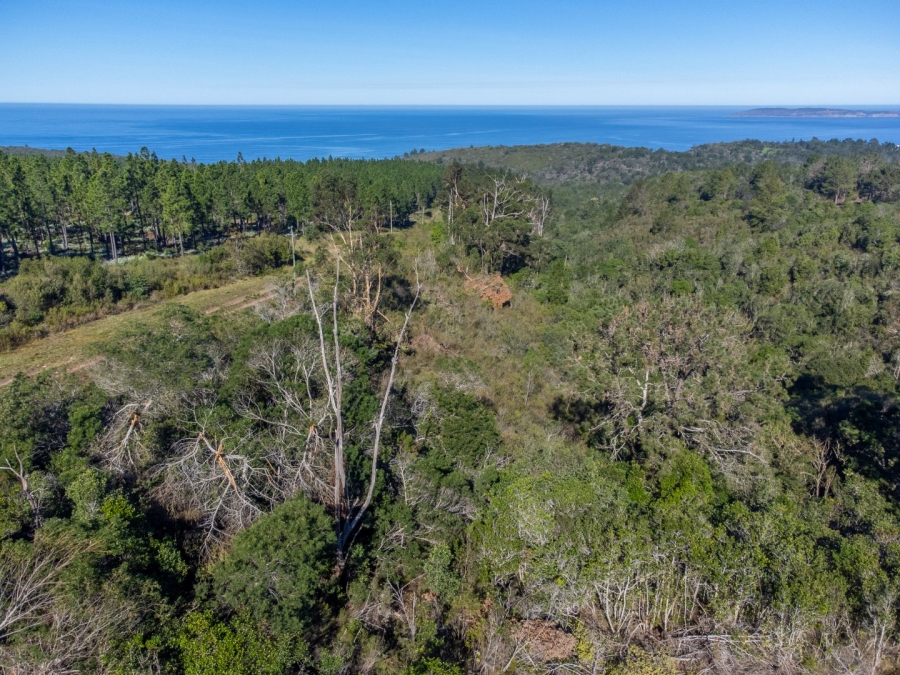 Commercial Property for Sale in Plettenberg Bay Rural Western Cape